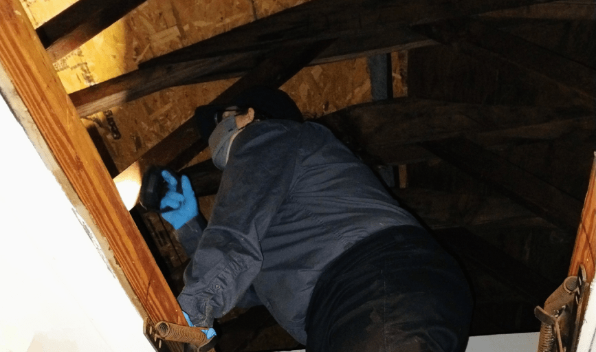 Myers Pest Control
